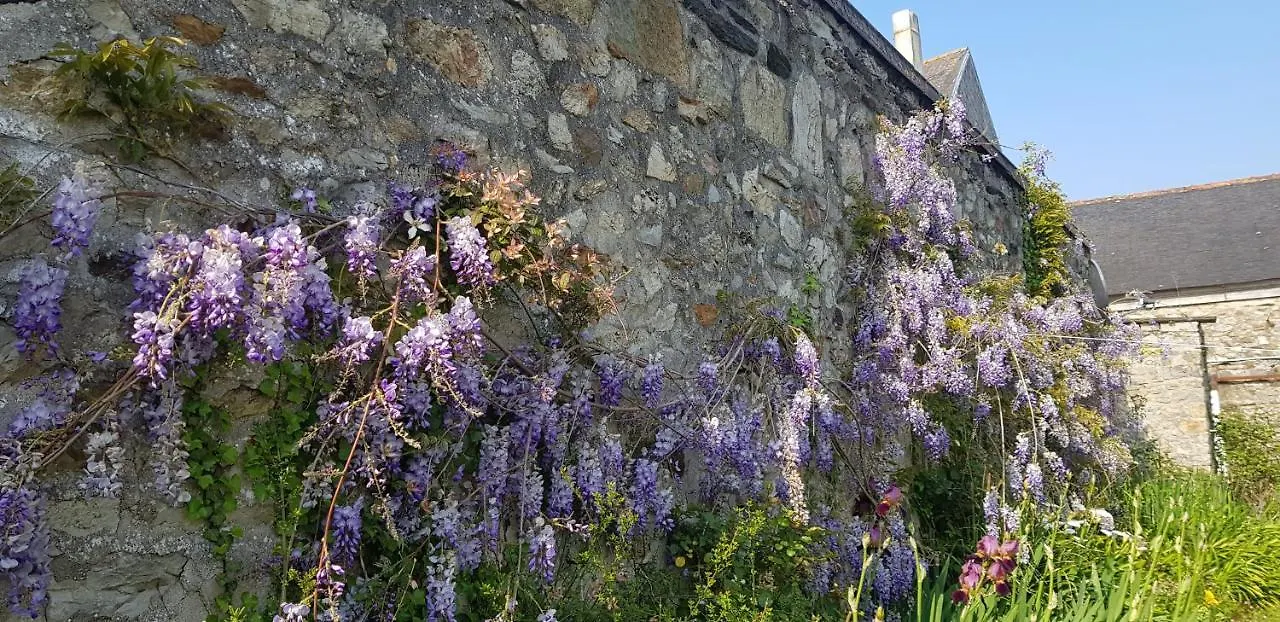Maison Papillons Plomodiern 0*,  Francia
